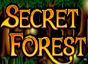 Secret Forest